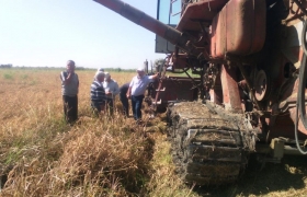 В СПК «Данухский» Гумбетовского района идёт уборка риса