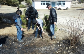 В с.Цанатли Гумбетовского района прошла акция «Посади дерево Победы»