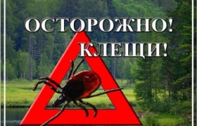 Крымская геморрагическая лихорадка (КГЛ) - природно-очаговая опасная для жизни инфекционная болезнь, сезонные проявления которой – апрель – сентябрь