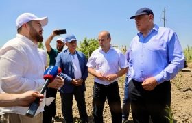 16 га садов и 12 га плодопитомника заложили в Хасавюртовском районе