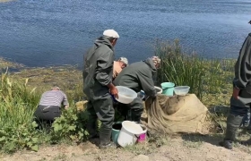 В Дагестане в Каспийское море выпустили 9 миллионов мальков кутума