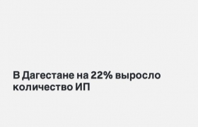 В Дагестане на 22% выросло количество ИП в 2025 году