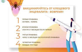 Октябрь – лучшее время вакцинации от клещевого вирусного энцефалита
