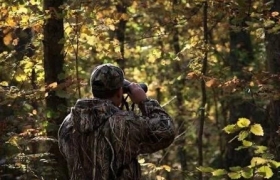 Весенняя охота в Дагестане: сроки и правила