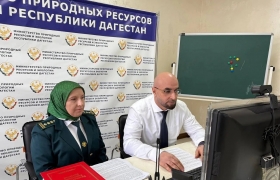 Минприроды Дагестана организовало онлайн-урок для школьников Запорожской области